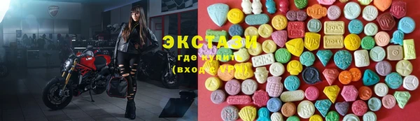 гашик Дмитров