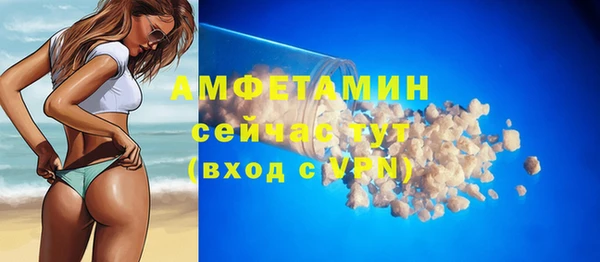 гидропоника Дмитриев