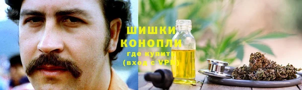 гидропоника Дмитриев