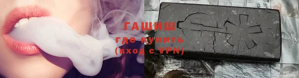 гашик Дмитров