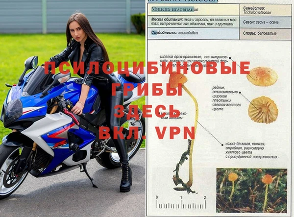 прущий лед Дмитровск