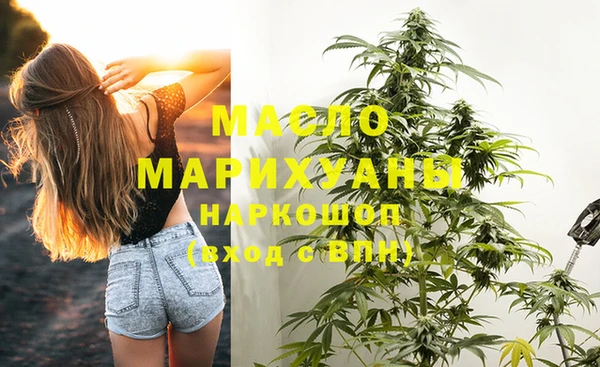 гидропоника Дмитриев