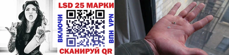 Купить закладки  Каменногорск  Наркотические марки 1,8мг 